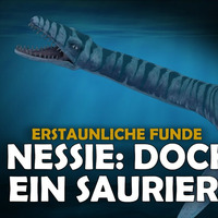 Funde in Marokko - Nessie im Loch Ness_ Doch ein Plesiosaurier_ (Dinosaurier) by NuoFlix