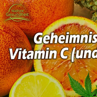 Geheimnisse über Vitamin C (und Cannabis) - Dr. med. Jochen Handel by NuoFlix