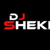 DJ SHEKHAR CSK