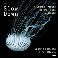 Cesar de Melero &amp; Mr Claude - Plastic Dreams_ Slow Down by Cesar de Melero Pro-Zak Trax