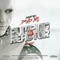 Pumping Reactor #011 Guest Mix [ DAVID BFL ] by pumpingland