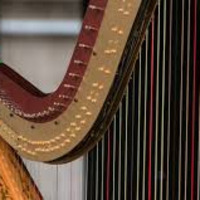 psycoded - playing the harp by Aleksandar von Zimmer