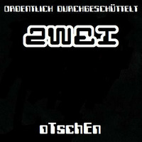 ORDENTLICH DURCHGESCHÜTTELT (ZWEI) **2018** by oTschEn