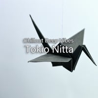Tokio Nitta - Chillout Deep Vibes 0156 by Aurora Fields Records Radio