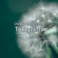 Tokio Nitta - Chillout Deep Vibes 0167 by Aurora Fields Radio