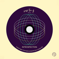 proph tha dj presents its a maybe 40_INTROSPECTION by proph tha dj