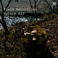 Field Recordings | Colors #23 by PG3A