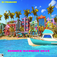 DJ Pharaohz Presents: Summer Madness 2K24 Mix by Pharaohz