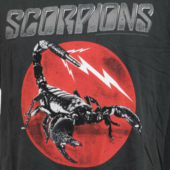 Dj scorpion