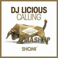 Dj Licious - Calling (Wild &amp; Dann Mashup) by Wild & Dann