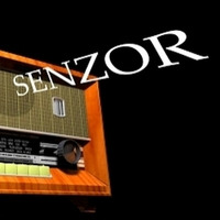 Senzor AM 653 by DJ Senzor