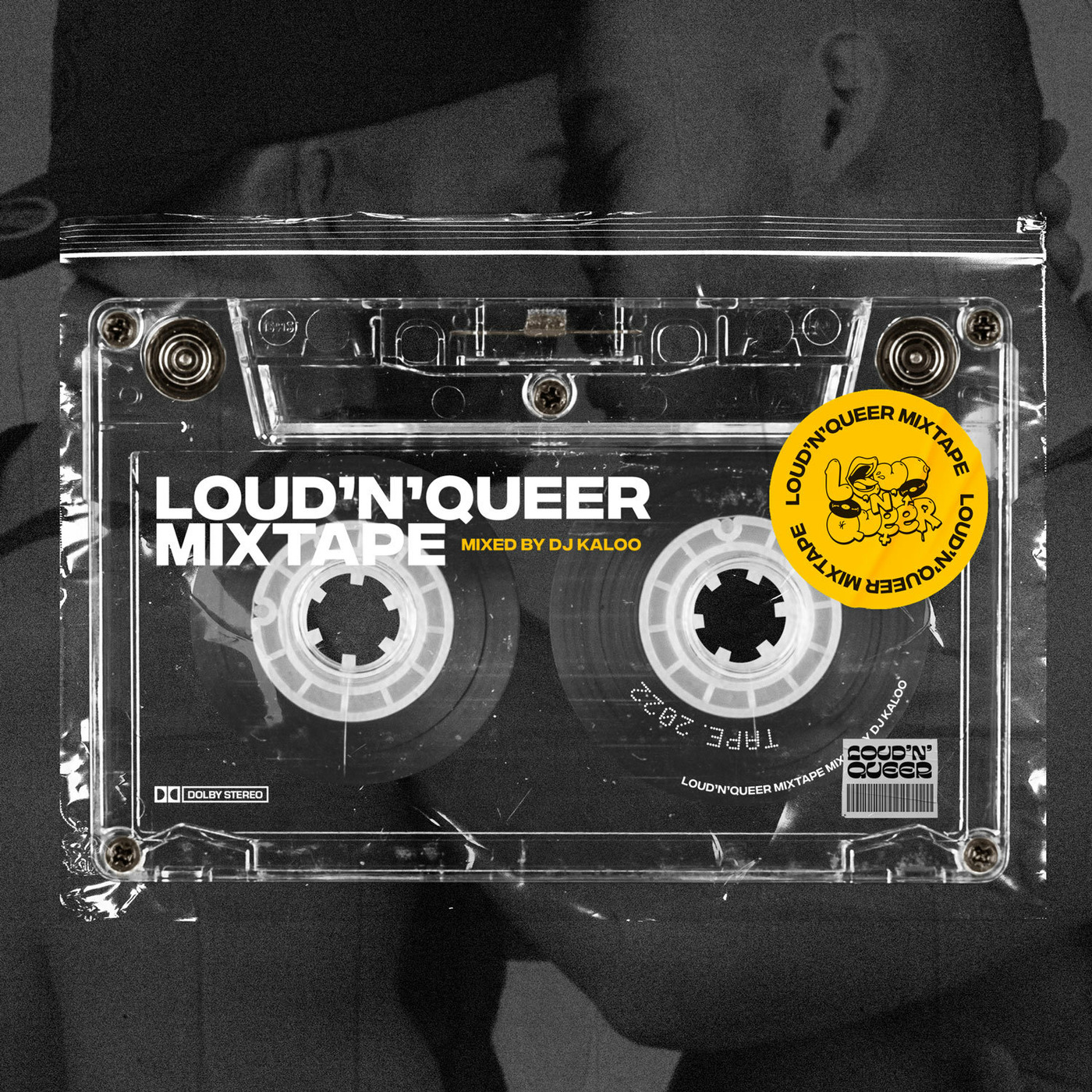 Loud'N'Queer Mixtape by DJ Kaloo - April 2022