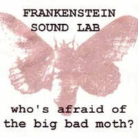 Butterflies Released As Bats by Frankenstein Sound Lab-2