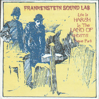 Starless &amp; Bible Black by Frankenstein Sound Lab-2