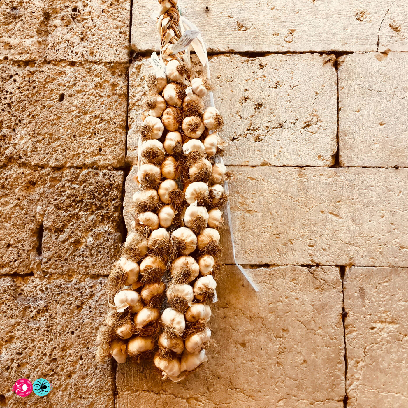 VVMPYRE'S BLOODY BIRTHDAY BASH - MYKX (SIDE B) VVMPYRE'S BLOODY BIRTHDAY BASH - MYKX (SIDE B)