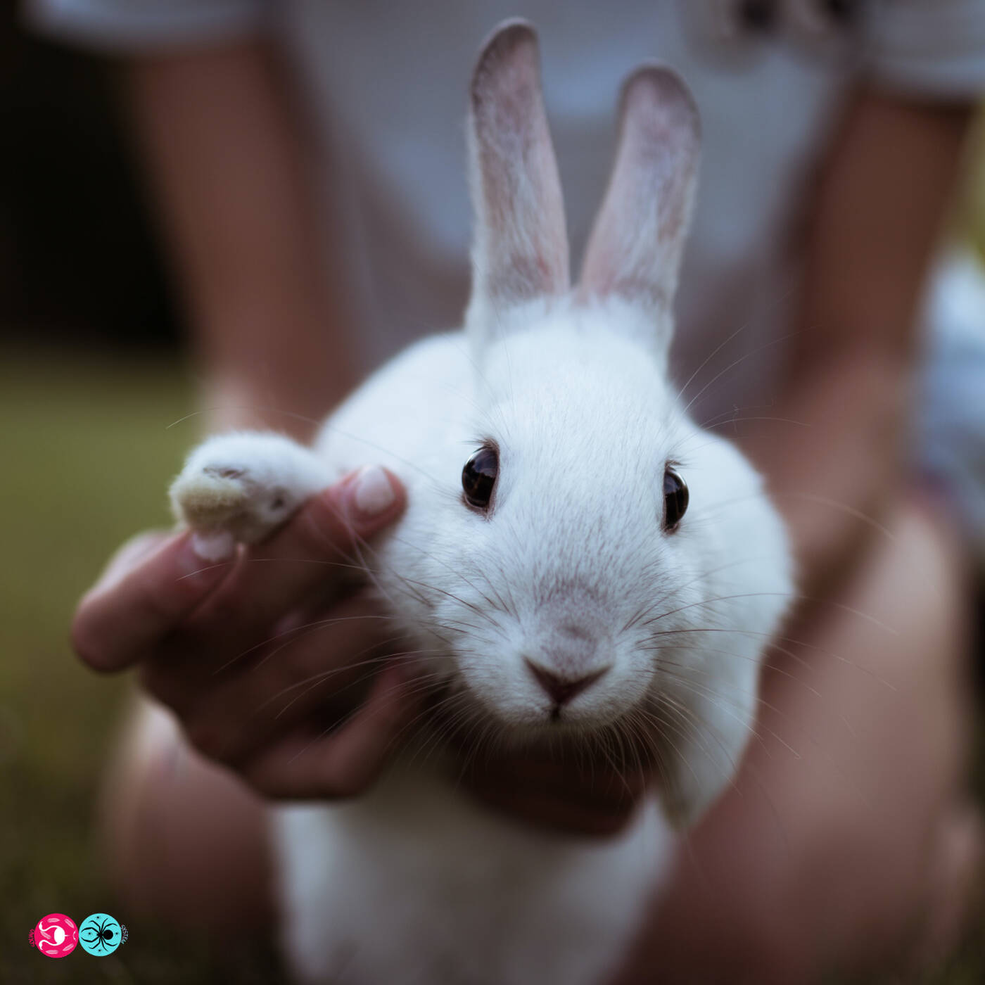 Goth-Hop Vol.1 - MYKX (SIDE B) Goth-Hop Vol.1 - MYKX (SIDE B)