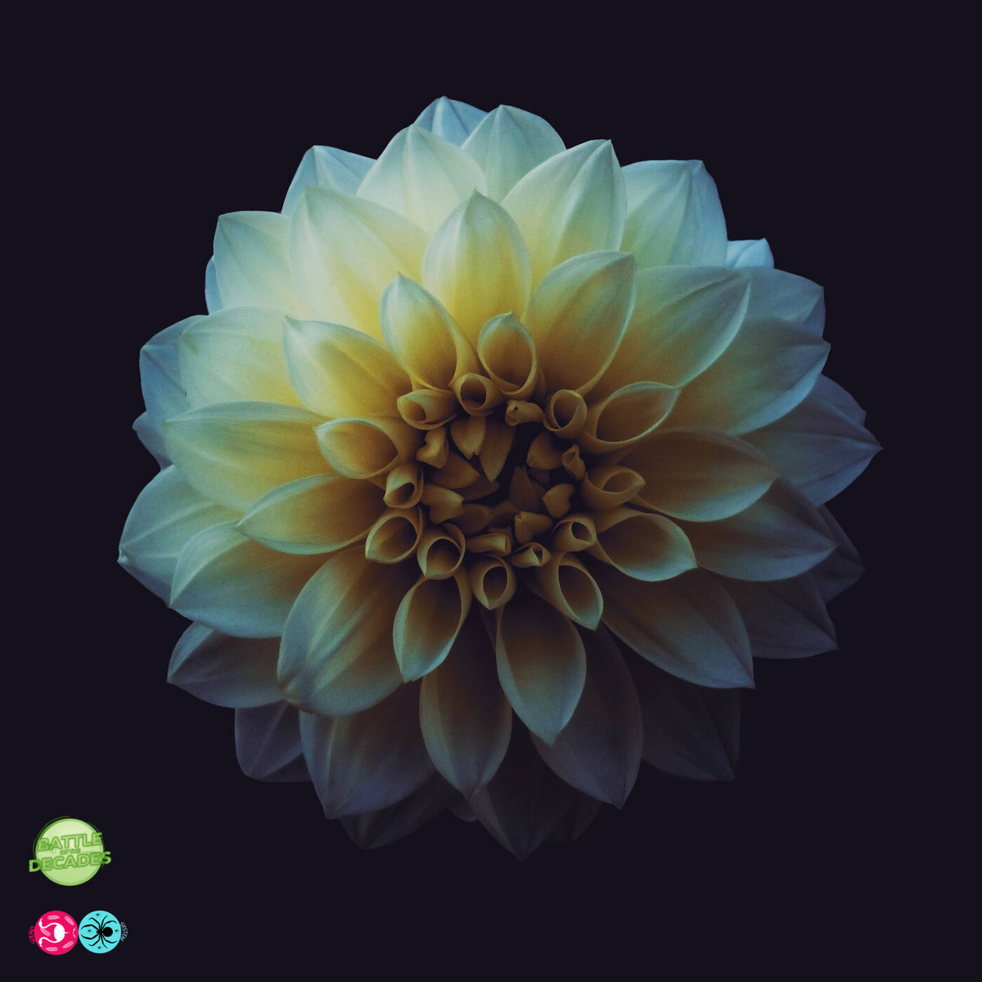 TECHNO // TRANCE // HOUSE // BATTLE OF THE DECADES: WHISKEYS & BREWS - MYKX (SIDE B) TECHNO // TRANCE // HOUSE // BATTLE OF THE DECADES: WHISKEYS & BREWS - MYKX (SIDE B)