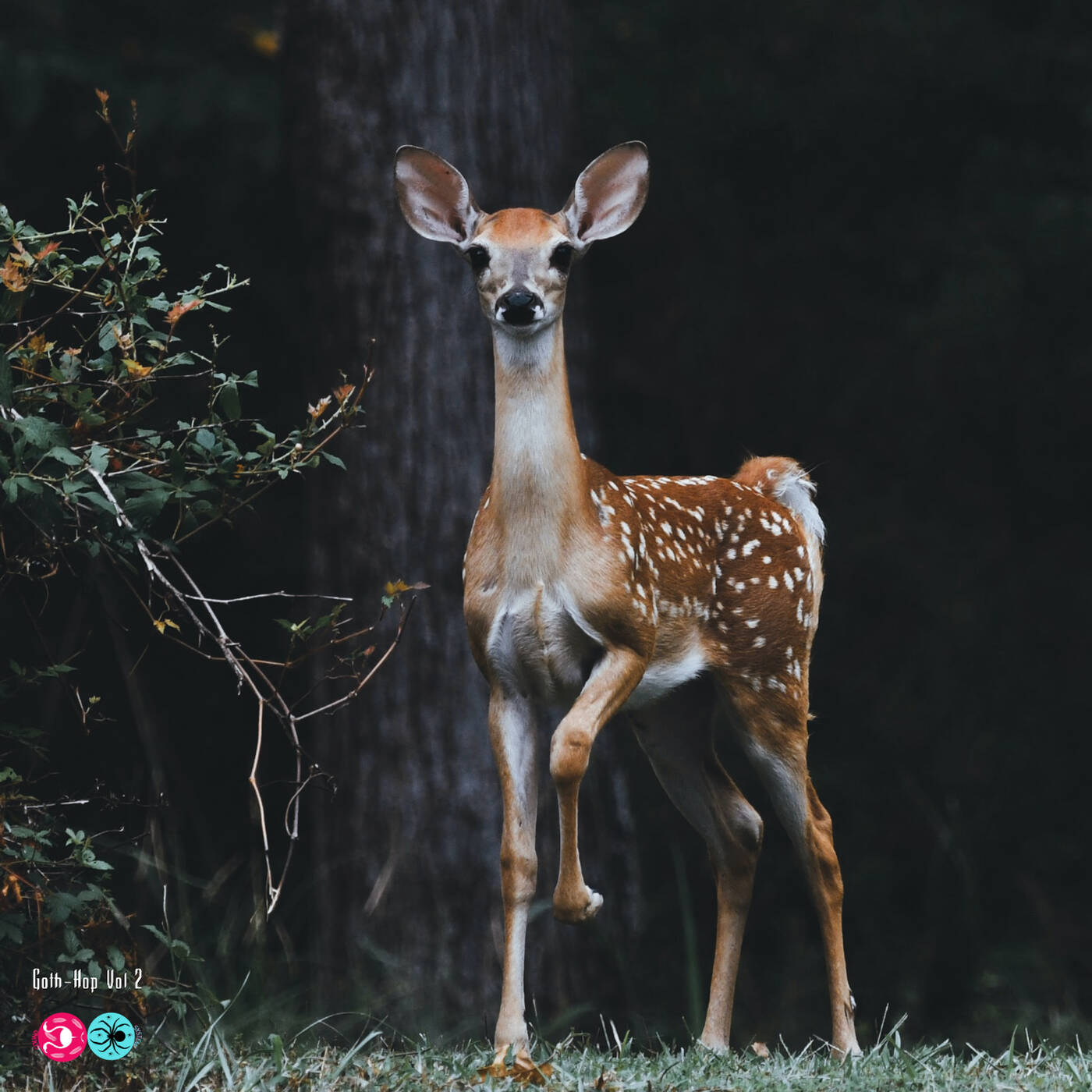 Goth-Hop Vol.2 - MYKX (SIDE B) Goth-Hop Vol.2 - MYKX (SIDE B)