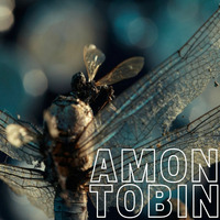 Amon Tobin - part 1 by Geecologist