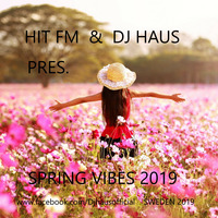 Spring Vibes 2k19 Radio Hit FM by DJ Haus