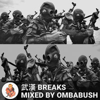 Wuhan Breaks by OmBabush