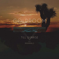 Goldroom - 'Till Sunrise (Bunnybear Remix) by Saul Ruiz