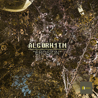 Alg0rh1tm - Erosion by DubKraft Records