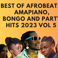 BEST OF AFROBEATS, AMAPIANO, BONGO AND PARTY HITS 2023 VOL 5 - DJ EXOTIQ by Dj Exotiq