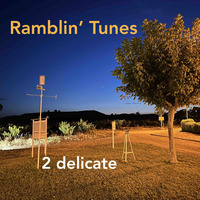 Ramblin' Tunes - 2 delicate by Pat