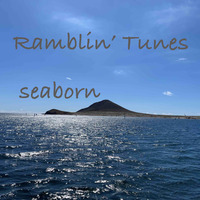 Ramblin' Tunes - seaborn by Pat