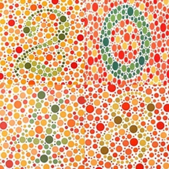 colorblindnesstest
