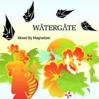 Magnetizer presents Watergate by Magnetizer