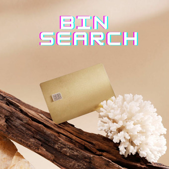 Bin Search