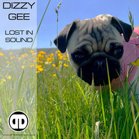 Dizzy Gee - Different Drumz Live Show - 09.05.2020 by DIZZY GEE