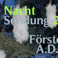 Nachtsendung 2: Förster A. D. by Datscha Radio