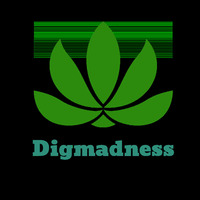 Digmadness - Anger Management (Jungle Mix April 2024) Toronto, Canada by Digmadness