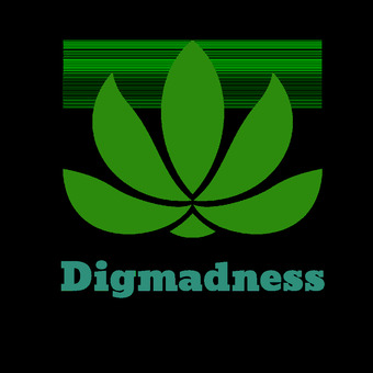 Digmadness