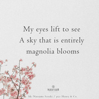 LunGao - SpringFlowers (naviarhaiku523) by NaviarRec