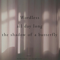 Sam Slattery - Long butterfly (naviar haiku 532) by NaviarRec