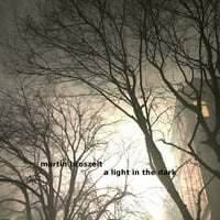  a Light in the Dark by Martin Broszeit