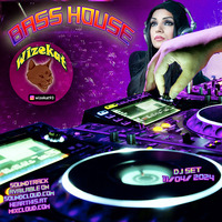 Bass House 11-04-24 by wizekat