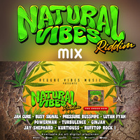 Catch the Ultimate Reggae Vibes in Dj Bullet's Natural Vibes Riddim Mix by Dj Bullet