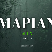BEST Amapiano Mix Vol 3 by airmxdee