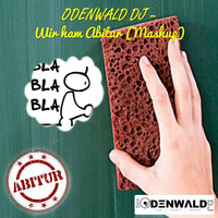 ODENWALD DJ - Wir ham Abitur (Mashup) by DER ODENWALD DJ
