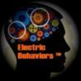 The Electric Behaviors