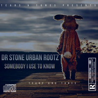 Dr Stone Urban Rootz - Somebody that I use to know by Dr Stone Urban Rootz