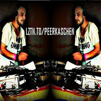 Peer Kaschen Live @ LZTN.TO - Session #2 -20.11.2015 by fastMo | DJ