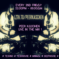 Peer Kaschen Live @ LZTN.TO - Session #13  - 26.02.2016 by fastMo | DJ