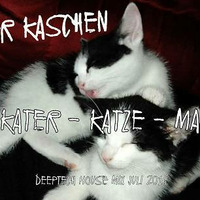Peer Kaschen - Kater -Katze -Mau - Deep-techmix Juli 2016  by fastMo | DJ