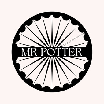 MR POTTER